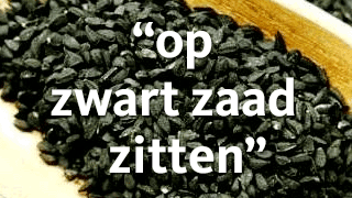 Op Zwart Zaad Zitten - Spelling & Zo