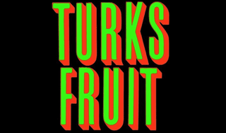 Turks Fruit - Jan Wolkers - Spelling & Zo Boekrecensie